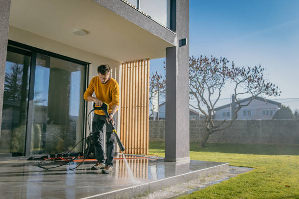 Best Solar Panel Cleaning  in Ligh, NE